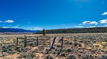 15 County Road 10, Leadville, CO 80461