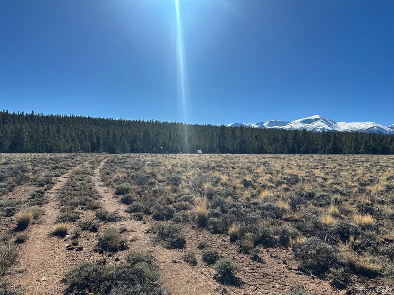 15 County Road 10, Leadville, CO 80461