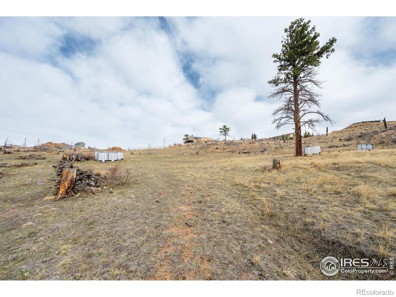 107 Mount Audubon Way, Livermore, CO 80536