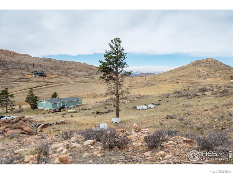107 Mount Audubon Way, Livermore, CO 80536