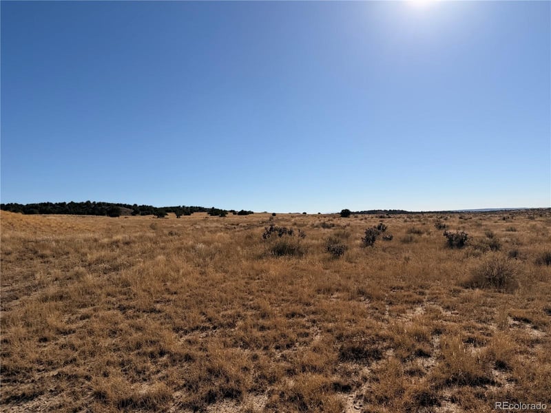 Lot 316 Longhorn Ranch, Model, CO 81059