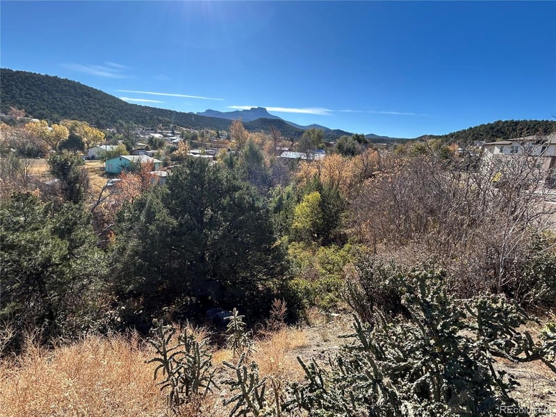 Denver Ave, Trinidad, CO 81082