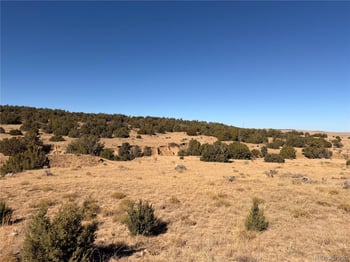 Lot 537 Rio Cucharas, Walsenburg, CO 81089