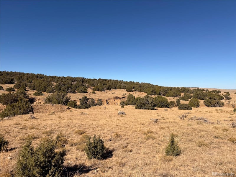 Lot 537 Rio Cucharas, Walsenburg, CO 81089