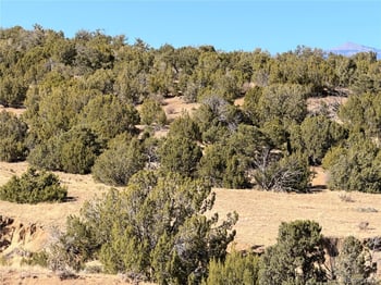 Lot 537 Rio Cucharas, Walsenburg, CO 81089
