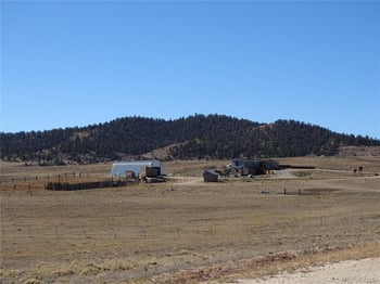 278 Cherokee Trl, Hartsel, CO 80449