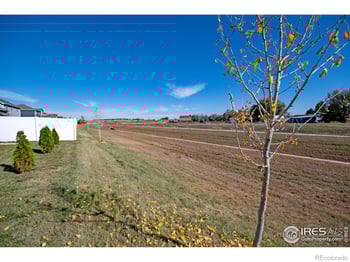 925 Greenbrook Dr, Windsor, CO 80550