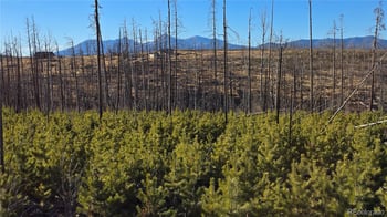 Lot 1505 Von Hyle Ln, Fort Garland, CO 81133