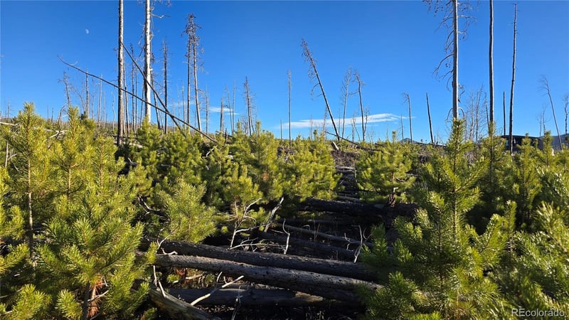 Lot 1505 Von Hyle Ln, Fort Garland, CO 81133