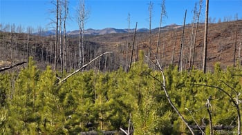 Lot 1505 Von Hyle Ln, Fort Garland, CO 81133