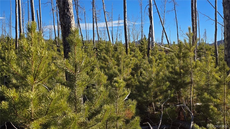 Lot 1505 Von Hyle Ln, Fort Garland, CO 81133