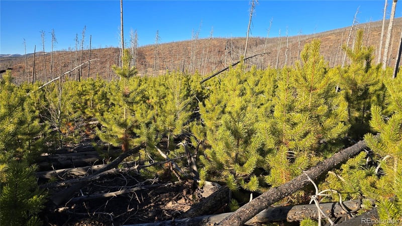 Lot 1505 Von Hyle Ln, Fort Garland, CO 81133