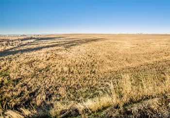 County Road 10, Fort Lupton, CO 80261