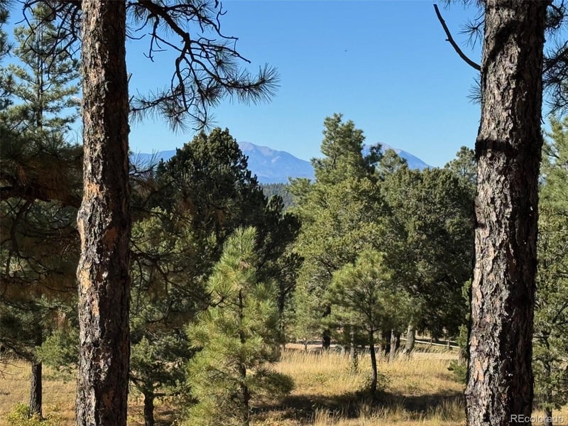 33250 Fox Trl, Trinidad, CO 81082