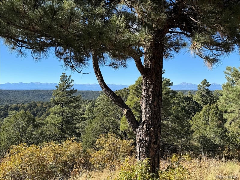 33250 Fox Trl, Trinidad, CO 81082