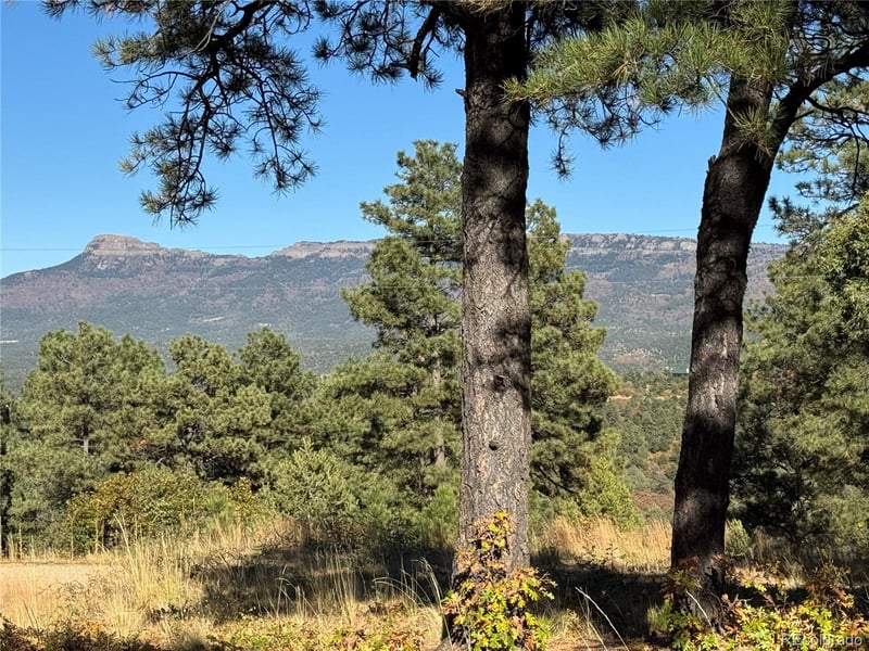 33250 Fox Trl, Trinidad, CO 81082