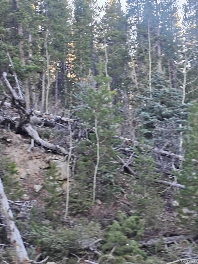 S: 35 T: 1S R: 72 W , Golden, CO 80403