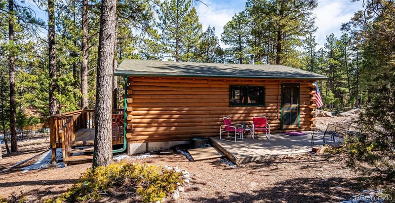 33885 La Plata Ln, Pine, CO 80470