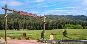 33885 La Plata Ln, Pine, CO 80470