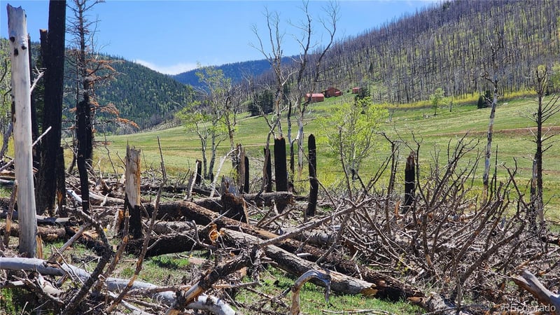 2334 Wohlstetter Loop, Fort Garland, CO 81133