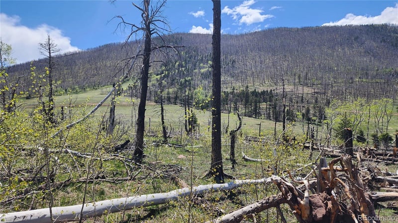 2334 Wohlstetter Loop, Fort Garland, CO 81133