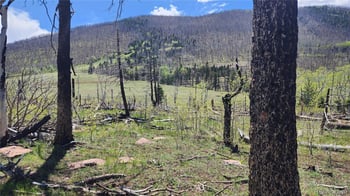 2334 Wohlstetter Loop, Fort Garland, CO 81133