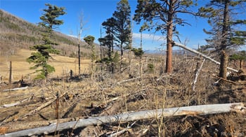 2334 Wohlstetter Loop, Fort Garland, CO 81133