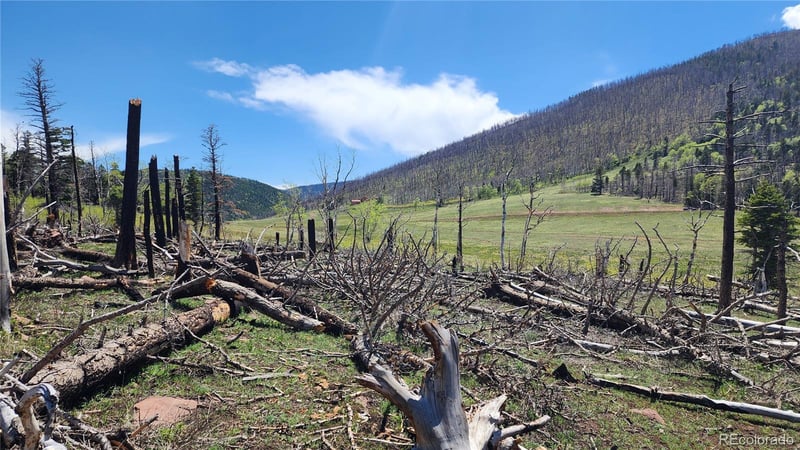 2334 Wohlstetter Loop, Fort Garland, CO 81133