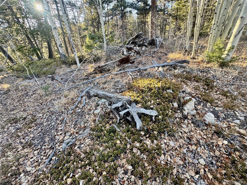 lot 5888 Loubier Rd, Fort Garland, CO 81152