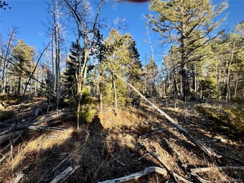 lot 5888 Loubier Rd, Fort Garland, CO 81152