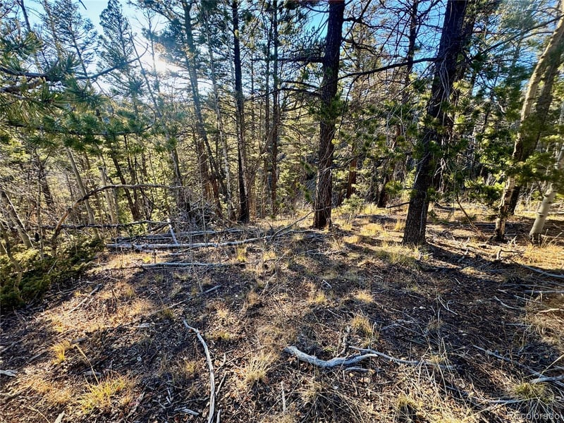 lot 5888 Loubier Rd, Fort Garland, CO 81152