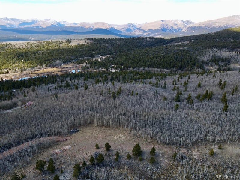 416 Little Baldy Cir, Fairplay, CO 80440