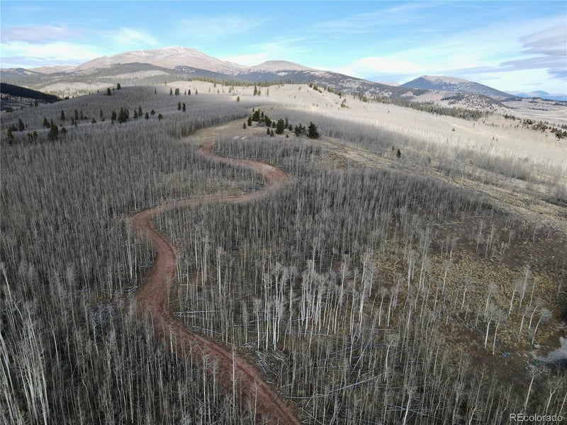 416 Little Baldy Cir, Fairplay, CO 80440