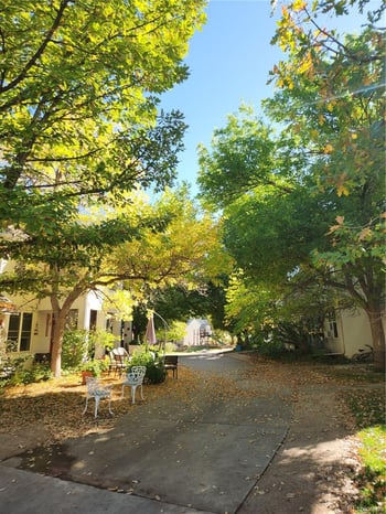 1613 Canal Ct, Littleton, CO 80120