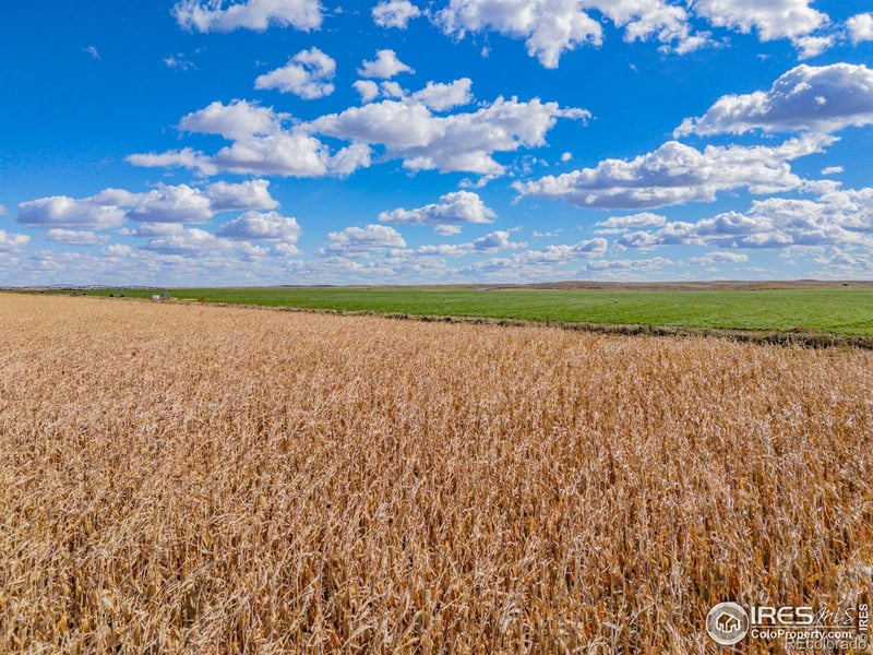 14805 County Road 12, Fort Morgan, CO 80701
