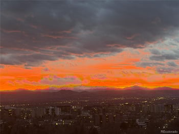 1133 Race St #17A, Denver, CO 80206