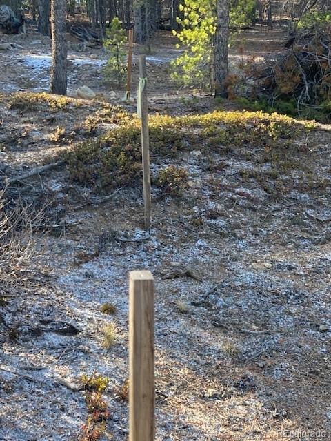 67 Lodgepole Dr, Leadville, CO 80461