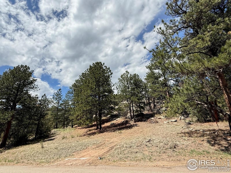 1289 Kiowa Rd, Lyons, CO 80540