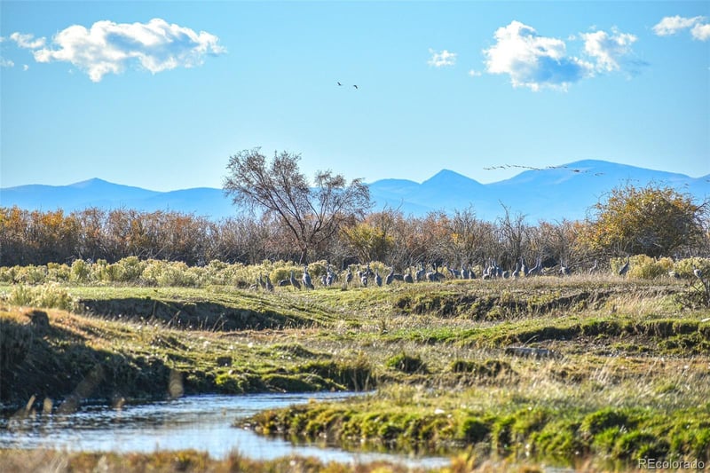 County Road 15 5, Blanca, CO 81123