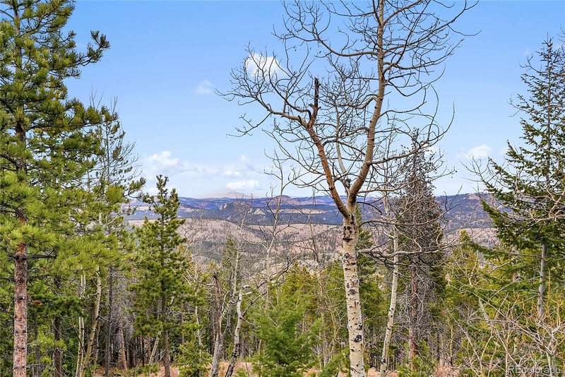 206 Wonder Trl, Golden, CO 80403