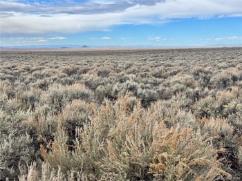 lot 33 West Otter Dr, Fort Garland, CO 81133