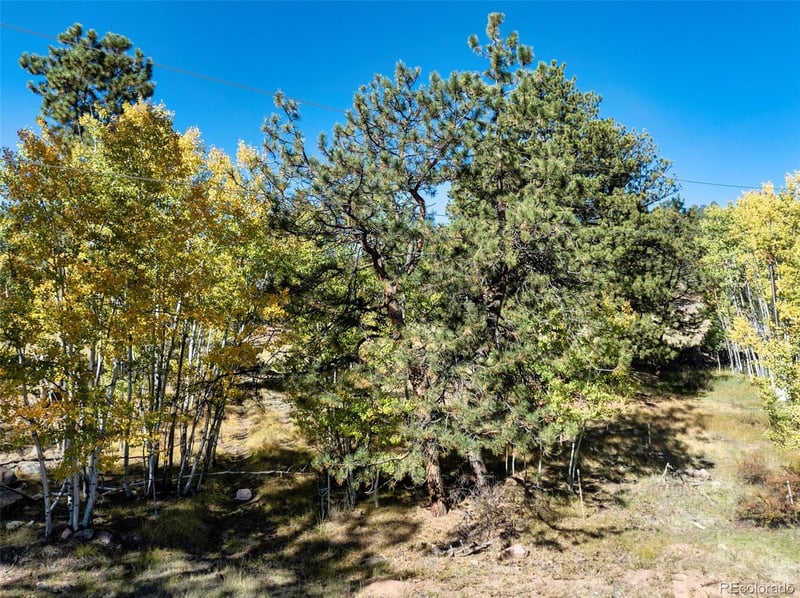 71 Pine Cir, Guffey, CO 80820