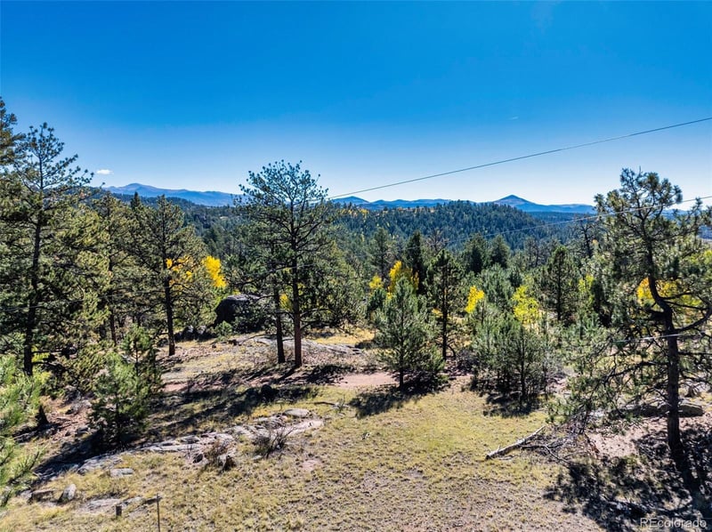 71 Pine Cir, Guffey, CO 80820