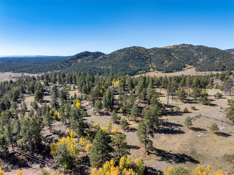 71 Pine Cir, Guffey, CO 80820