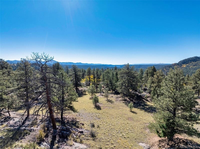 71 Pine Cir, Guffey, CO 80820