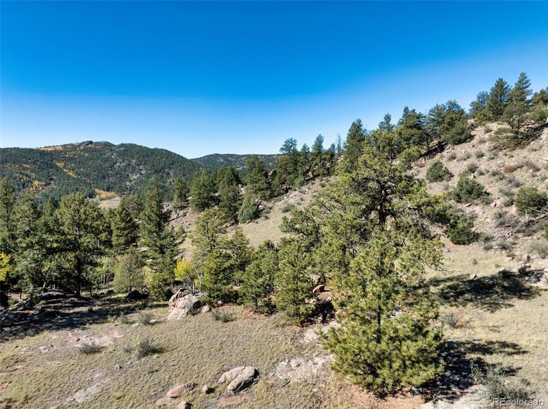 71 Pine Cir, Guffey, CO 80820