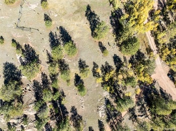 71 Pine Cir, Guffey, CO 80820