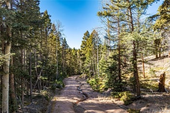 Arrowhead Rd, Florissant, CO 80816