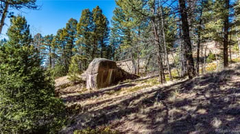 Arrowhead Rd, Florissant, CO 80816