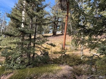 Arrowhead Rd, Florissant, CO 80816